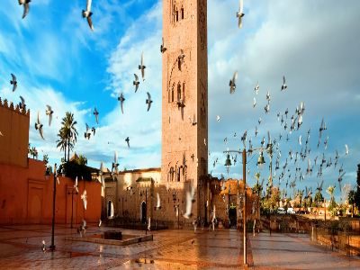 day trip From Casablanca to Marrakech