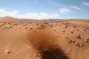 2 Days Zagora Desert